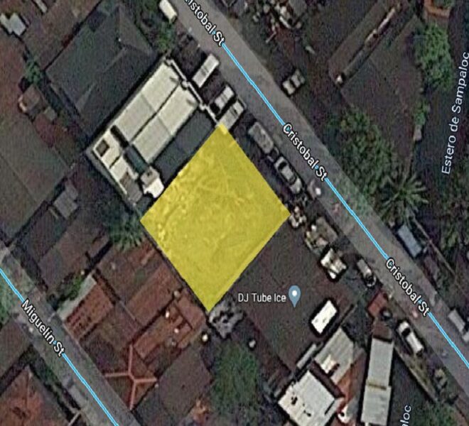 sampaloc lot for sale 210