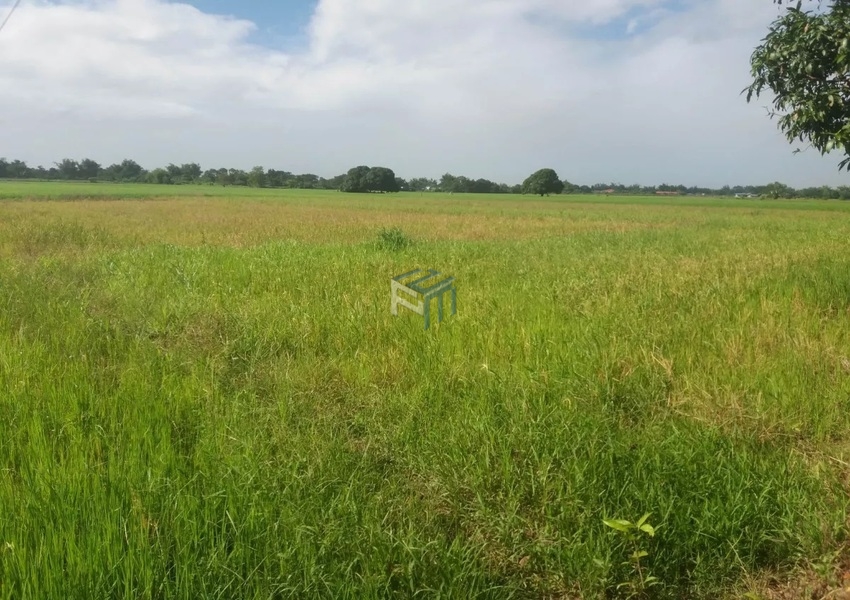 Bulacan Farm Lot for Sale San Ildefonso - persqmproperties