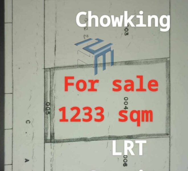 Manila Lot Pureza 1233