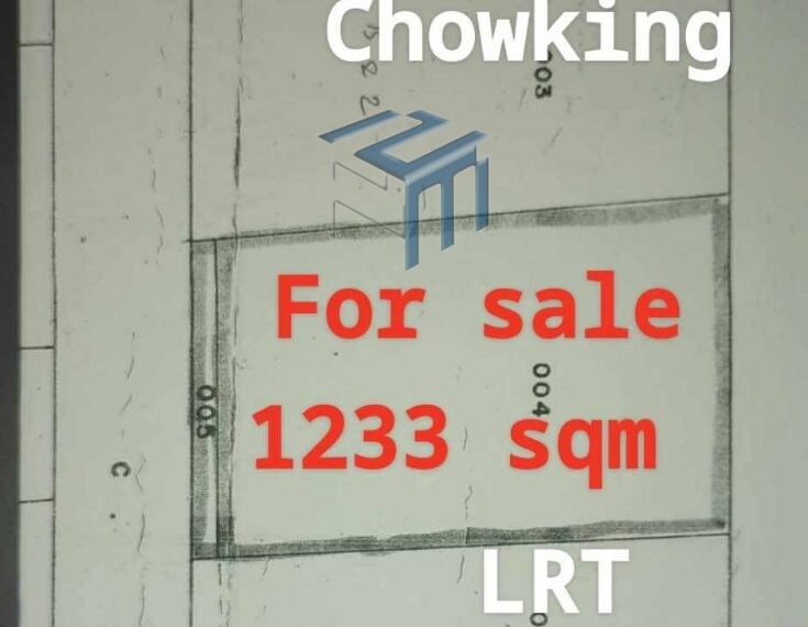 Manila Lot Pureza 1233